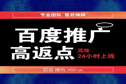 百度竞价公司运营策略：成功案例解析